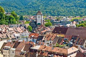 The German city of Freiburg is a centre for medical education and research.