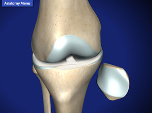 A knee specialist offers a wide range of diagnostic and therapeutic options