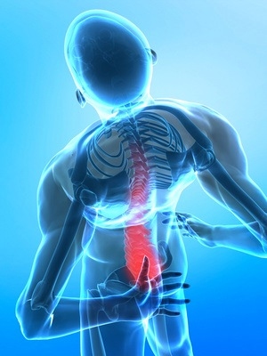 Expert Diagnosis of Lumbar Spine Disorders 