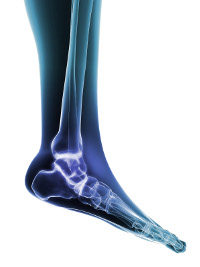 Foot specialist approach to orthopaedic disorders of the foot ©Fotolia.com Foot specialist approach to orthopaedic disorders of the foot