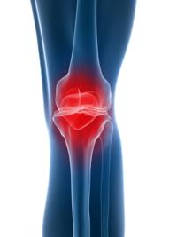 Knee specialist approach to knee investigation